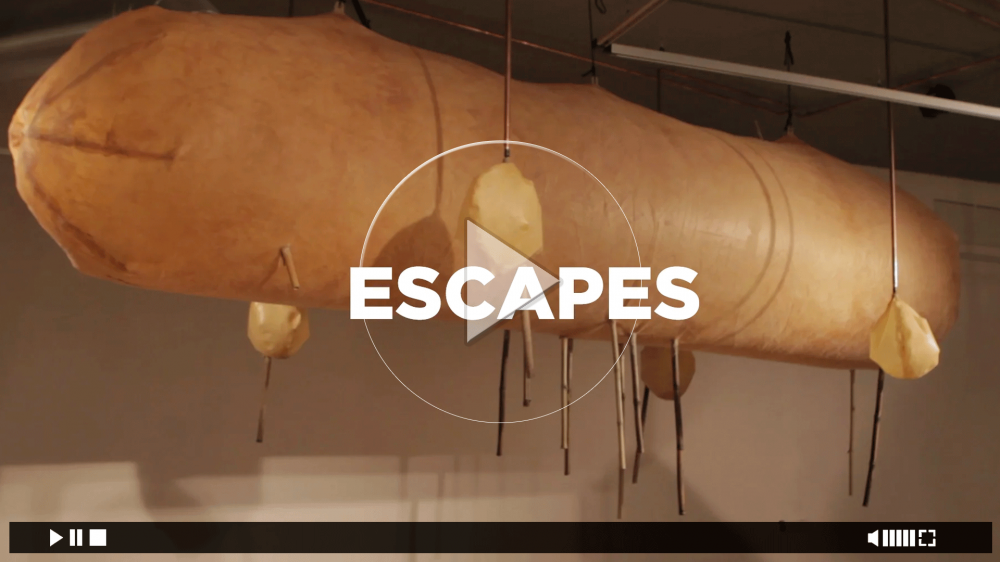Berio Molina | Escapes